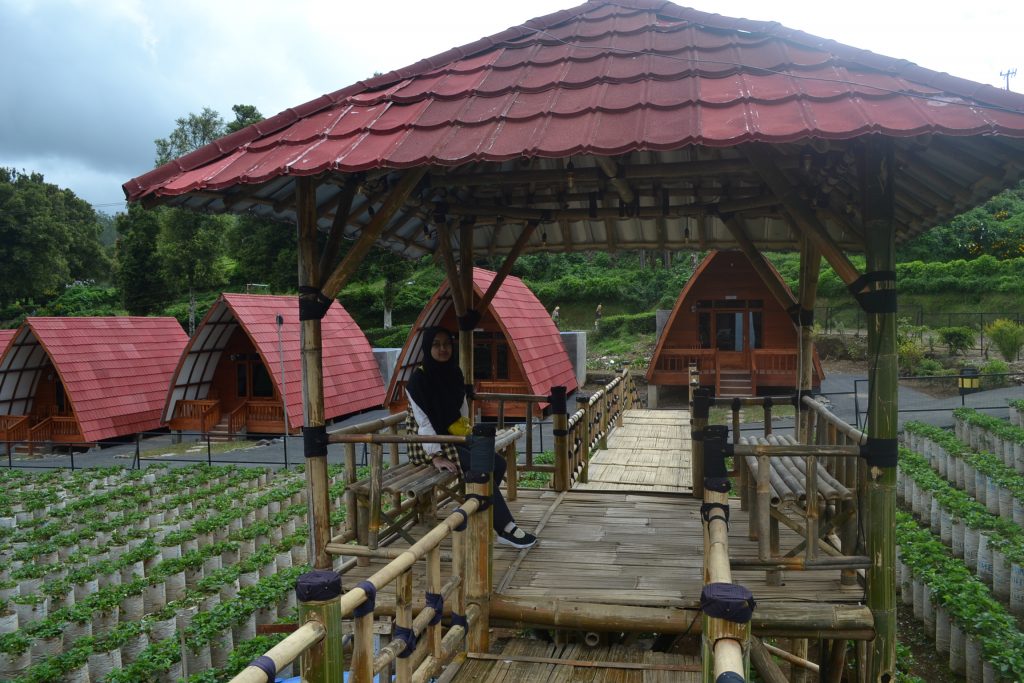 Villa di Ciwidey ada kolam renang, Dusun Strawberry Walini