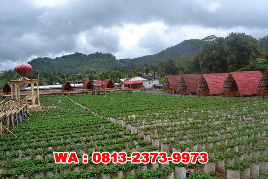 Villa Walini Ciwidey Bandung, 0813-2373-9973 update
